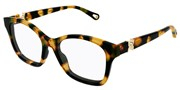 Chloe CH0334O-002