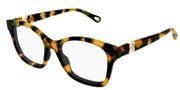 Chloe CH0334O-007