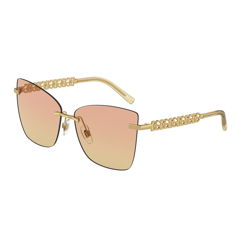 DOLCE E GABBANA 0DG2289-02EL
