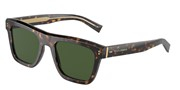 Dolce e Gabbana 0DG4420-50271