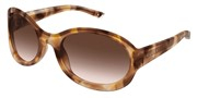 Nakup ali povečava slike, Gucci GG2012S-016.