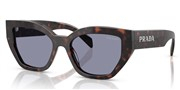 Prada 0PRA09S-17N03N