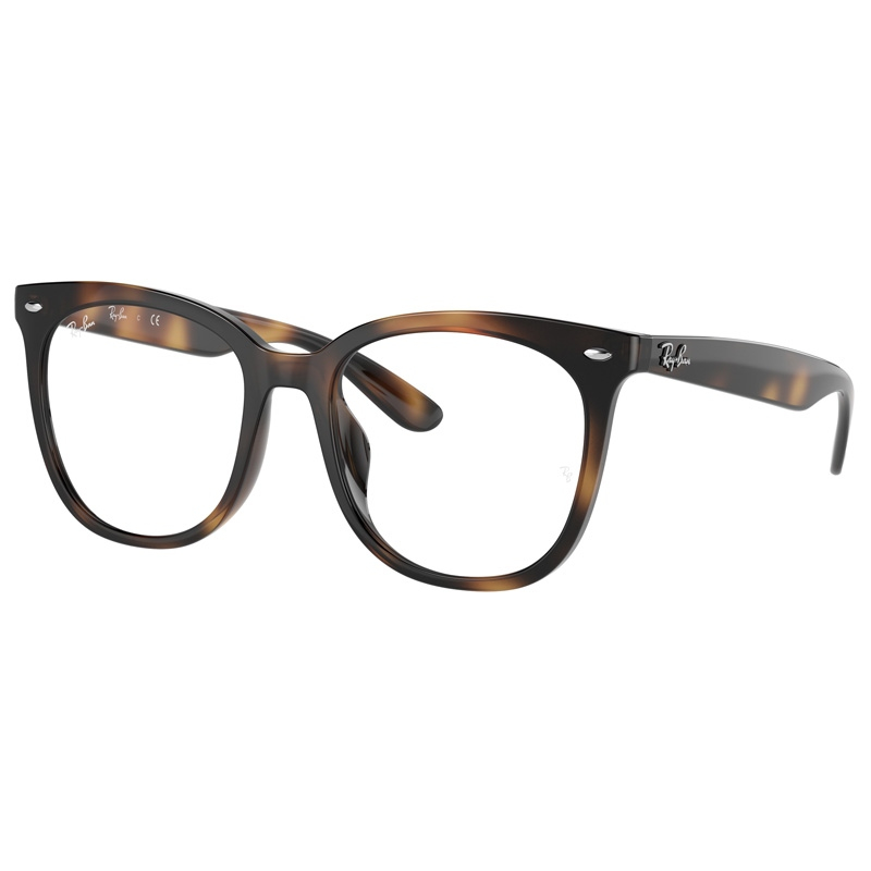 RAY BAN 0RX4379VD-2012