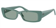 Nakup ali povečava slike, Ray Ban 0RB4425-676282.