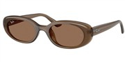 Ray Ban 0RB4441D-677973
