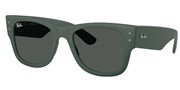 Nakup ali povečava slike, Ray Ban 0RB4840S-665787.