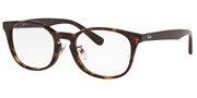 Nakup ali povečava slike, Ray Ban 0RX5386D-2012.