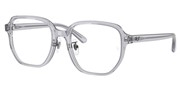 Nakup ali povečava slike, Ray Ban 0RX5424D-8415.