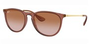 Ray Ban RB4171-659013