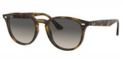 Ray Ban RB4259-71011