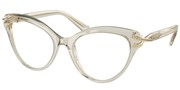 Swarovski Eyewear 0SK2030-3003