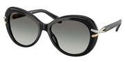 Swarovski Eyewear 0SK6026-100111