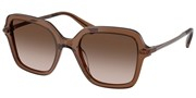 Swarovski Eyewear 0SK6040-106713