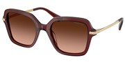 Nakup ali povečava slike, Swarovski Eyewear 0SK6040-10735M.